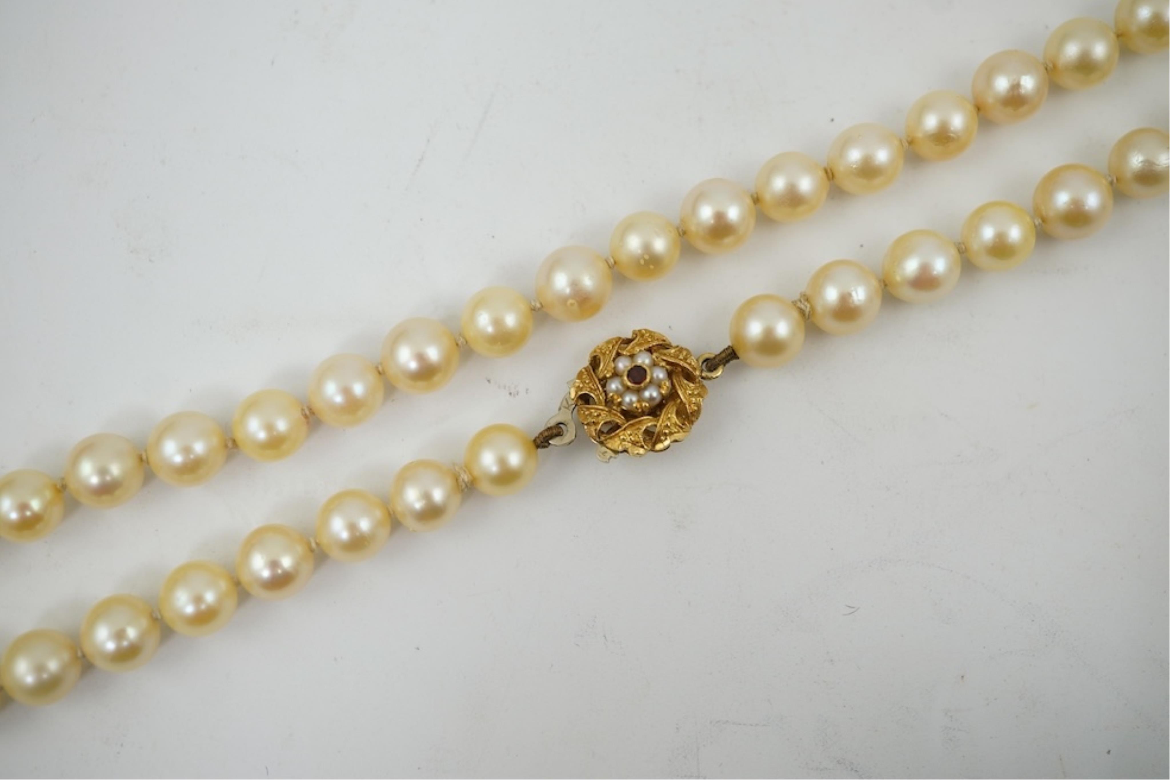 A single strand cultured pearl necklace, wit an 18ct gold, ruby and seed pearl cluster set clasp, 40cm.